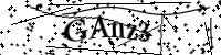 Por favor, escriba las letras y los números siguientes