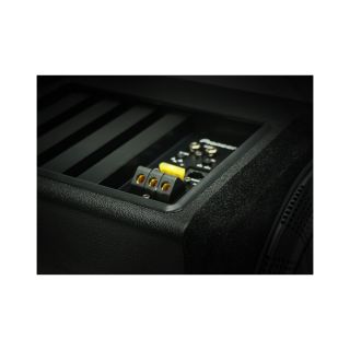 PIONEER SUBWOOFER ACTIVO TS-BW250MA